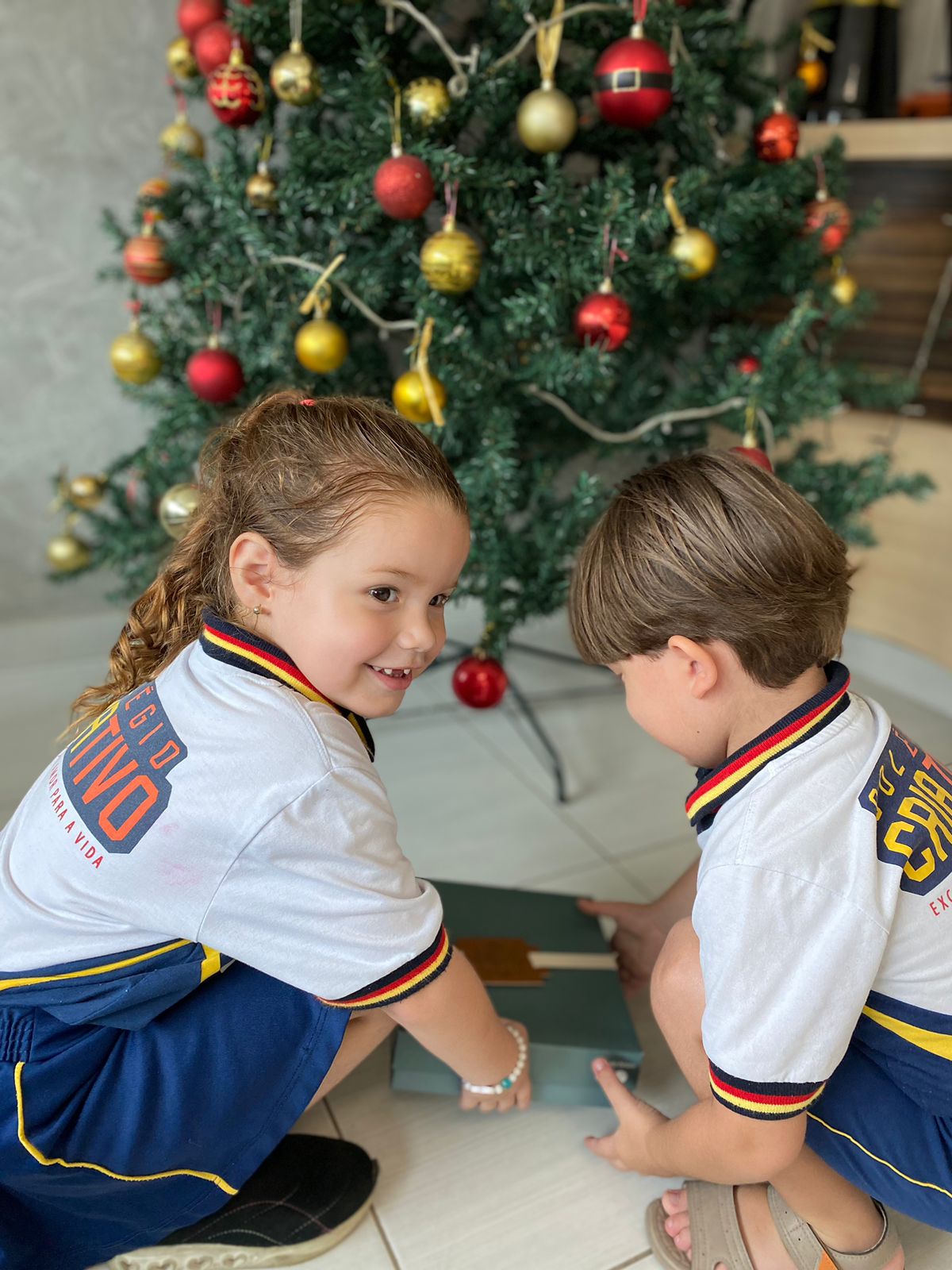 noticia Natal de Luz: o amor nasce entre nós! Dar e receber presentes é tema do projeto desenvolvido pelos colégios Criativo e Bela Flor