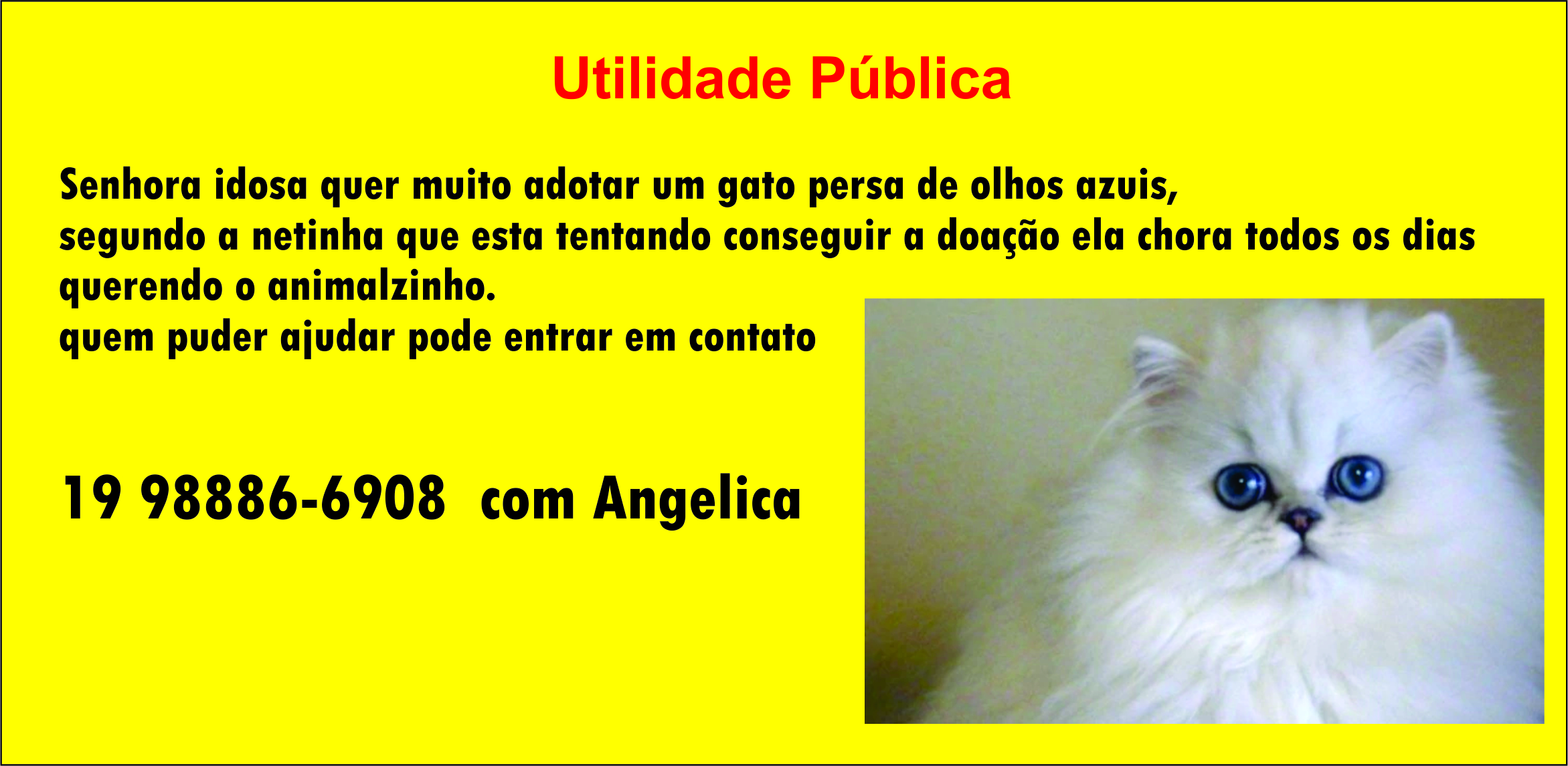 noticia Vamos ajudar a realizar o Sonho de uma senhora!