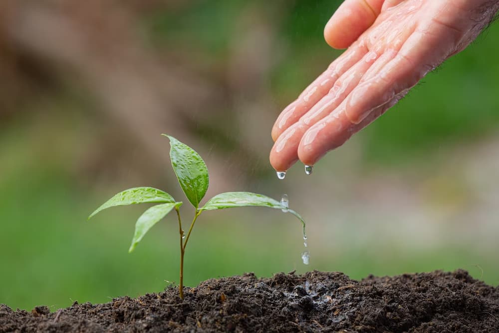 noticia Quais mudanças na sua empresa podem fazer a diferença no meio ambiente?