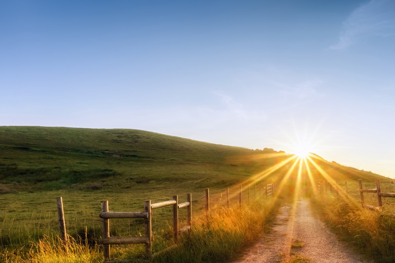 noticia A Paz não se improvisa 
