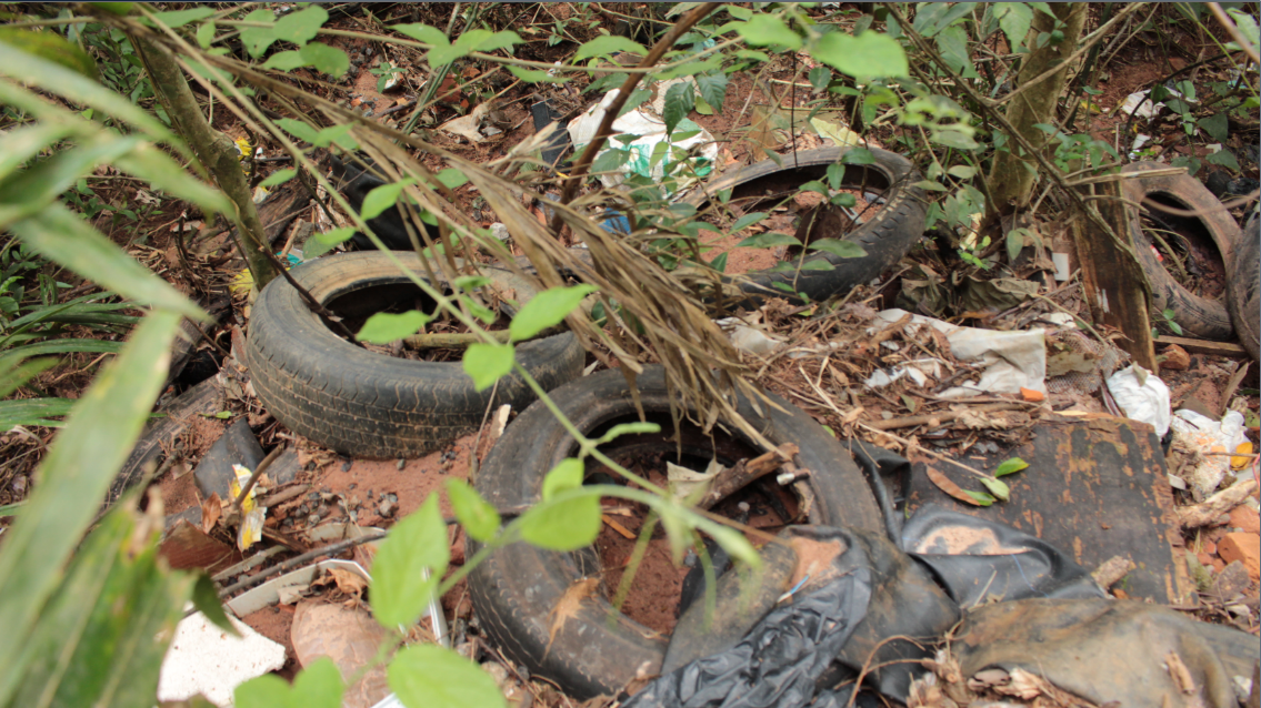 noticia Em Mairiporã vereador fiscaliza descarte irregular de lixos e entulhos em áreas de preservação ambiental
