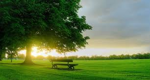 noticia Palavra de hoje por Ricardo Terada