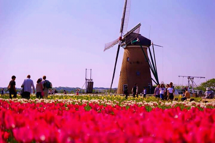 noticia Palavra de hoje por Ricardo Terada