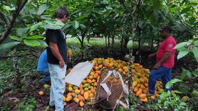 noticia Synergia investe em geração de renda e conservação da floresta amazônica e apresenta o Projeto Redes do Médio Xingu em documentário inédito