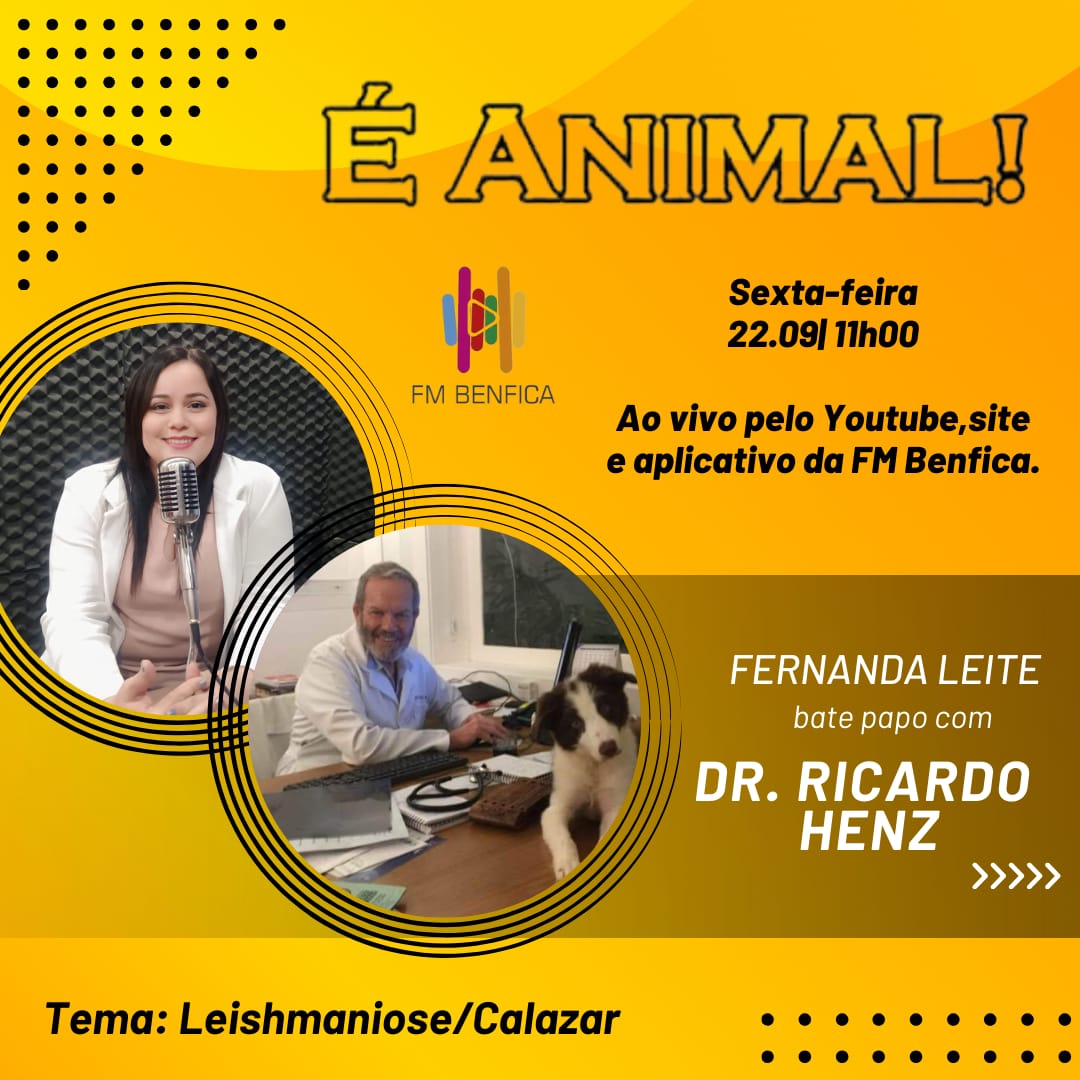 noticia O podcast É Animal!: novo programa sobre pets na FM Benfica abordará o tratamento da leishmaniose-calazar