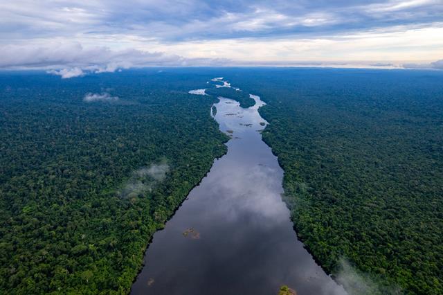 noticia Projeto Redes do Médio Xingu: uma iniciativa privada pela conservação da floresta amazônica em pé com geração de renda 