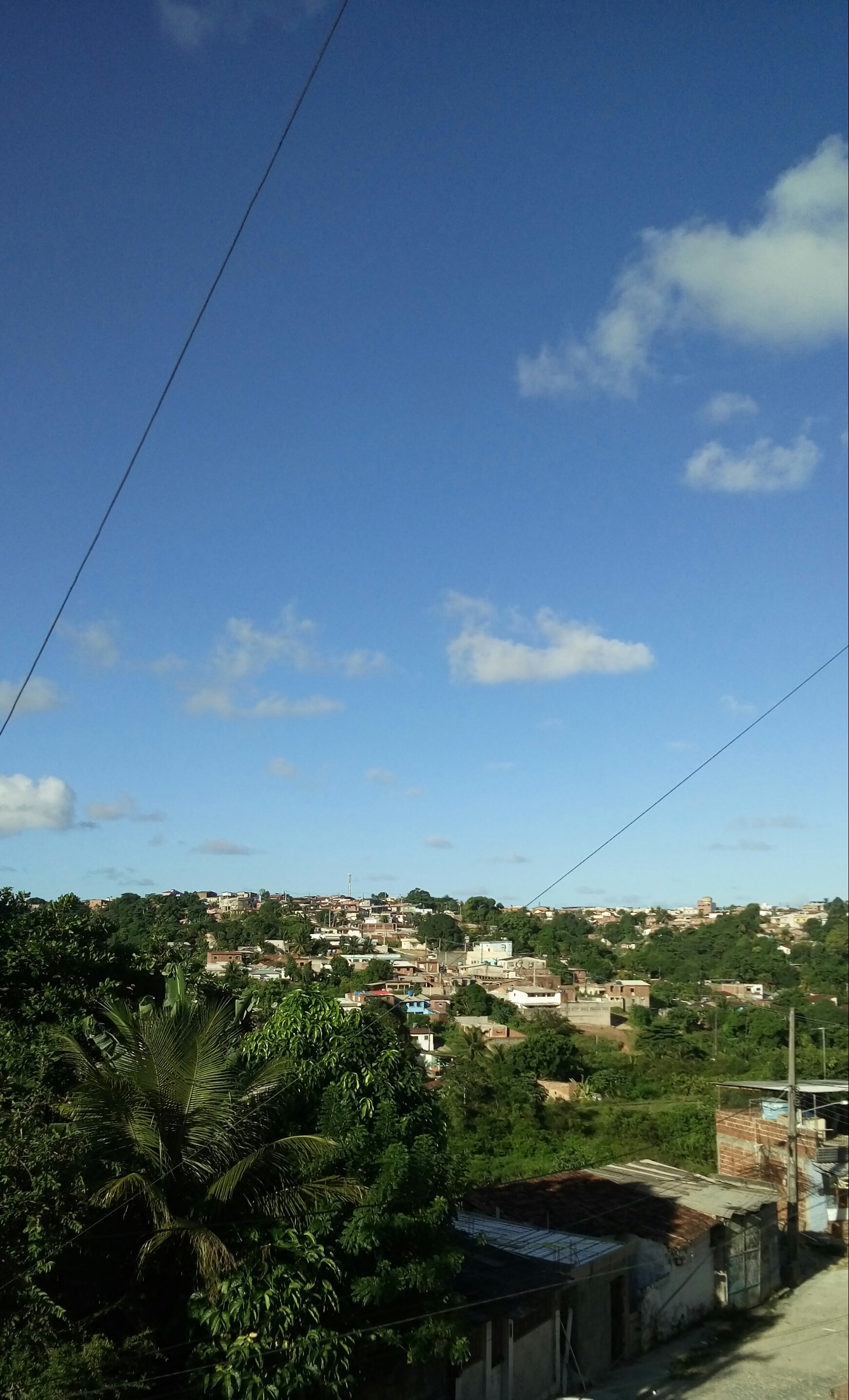 noticia UMA GRANDE ESCALADA