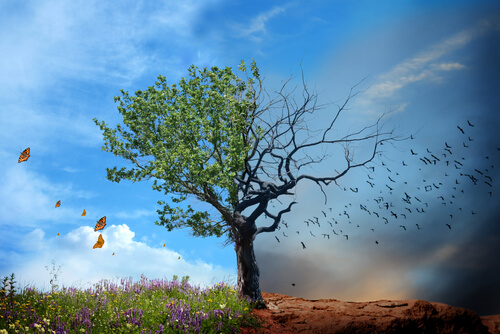 noticia PALAVRA DE HOJE - PERDAS E GANHOS