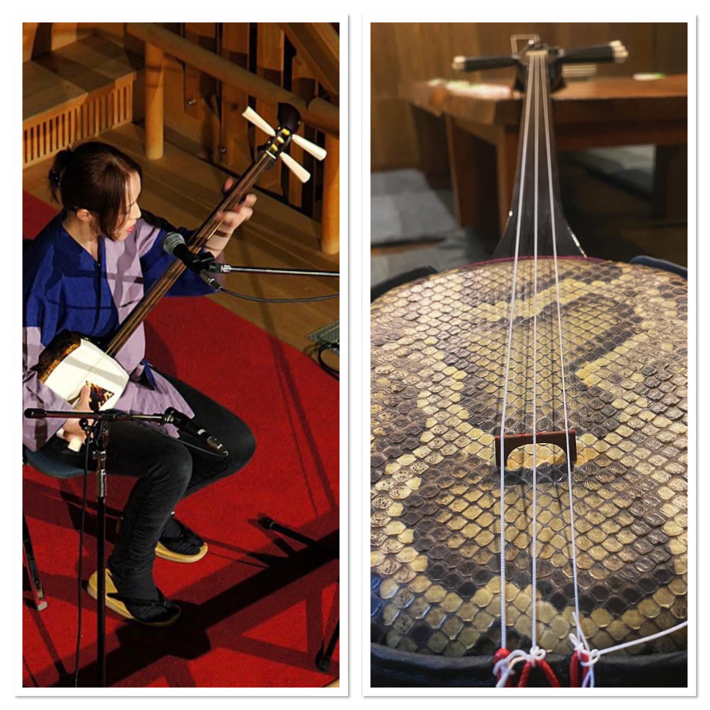 noticia Sangen e Tsugaru Shamisen