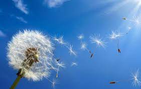 noticia PALAVRA DE HOJE - SOPRO DE DEUS