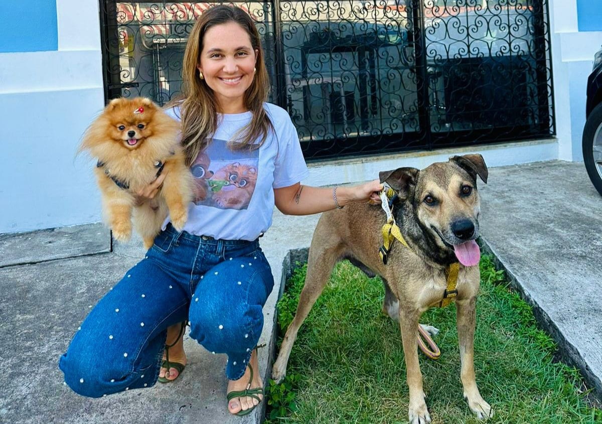 noticia Mês Internacional das Mulheres foca os olhares em  Mulheres empreendedoras & Multifacetadas