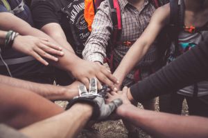 noticia Voluntariado criando laços